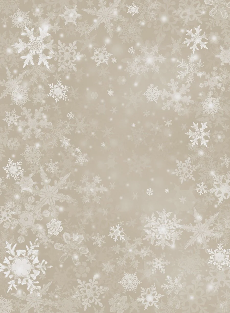 Kate Sliver Glitter Snowflake Snow Winter Christmas Backdrop for Photography - Image 2
