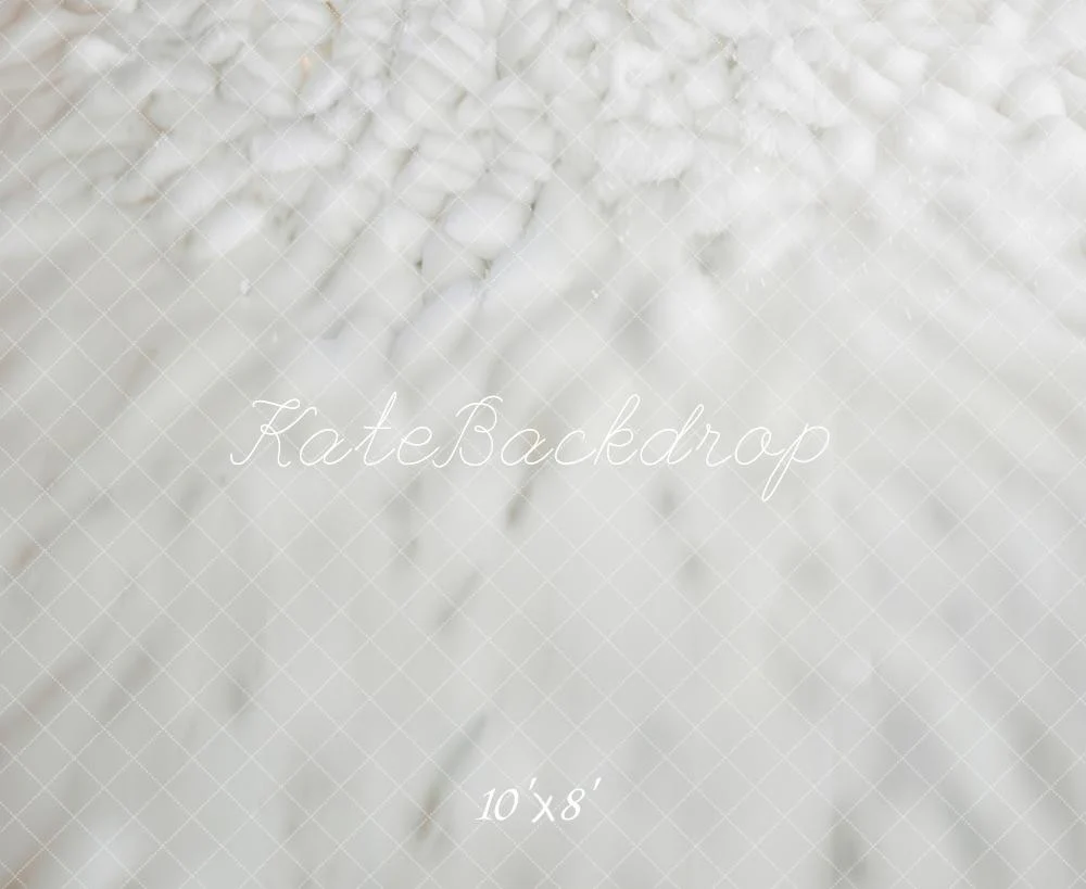 Kate Snow Ground White Floor Fleece Backdrop Designed by Emetselch - Image 4