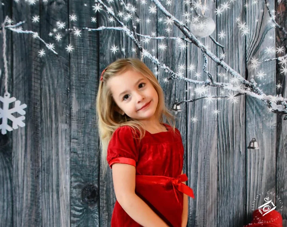 Kate Snowflake Decoration Gray Wooden Background for Christmas Photography - Image 3
