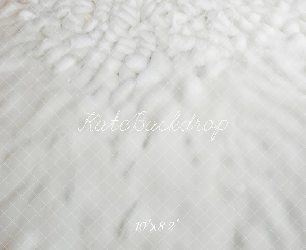 Kate Snowy Ground Texture White Floor Backdrop Designed by Emetselch - Image 5