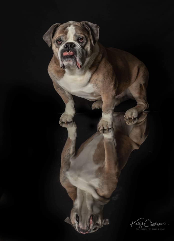 Kate Solid Black Photo Portrait Photography Backdrop for Studio - Image 8
