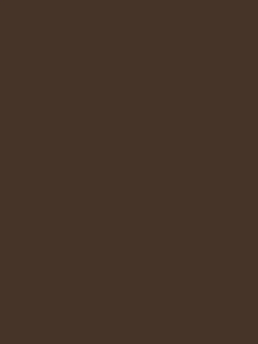 Kate Solid Dark Brown Cloth Backdrop Portrait Photography for Studio(HGCSB) - Image 2