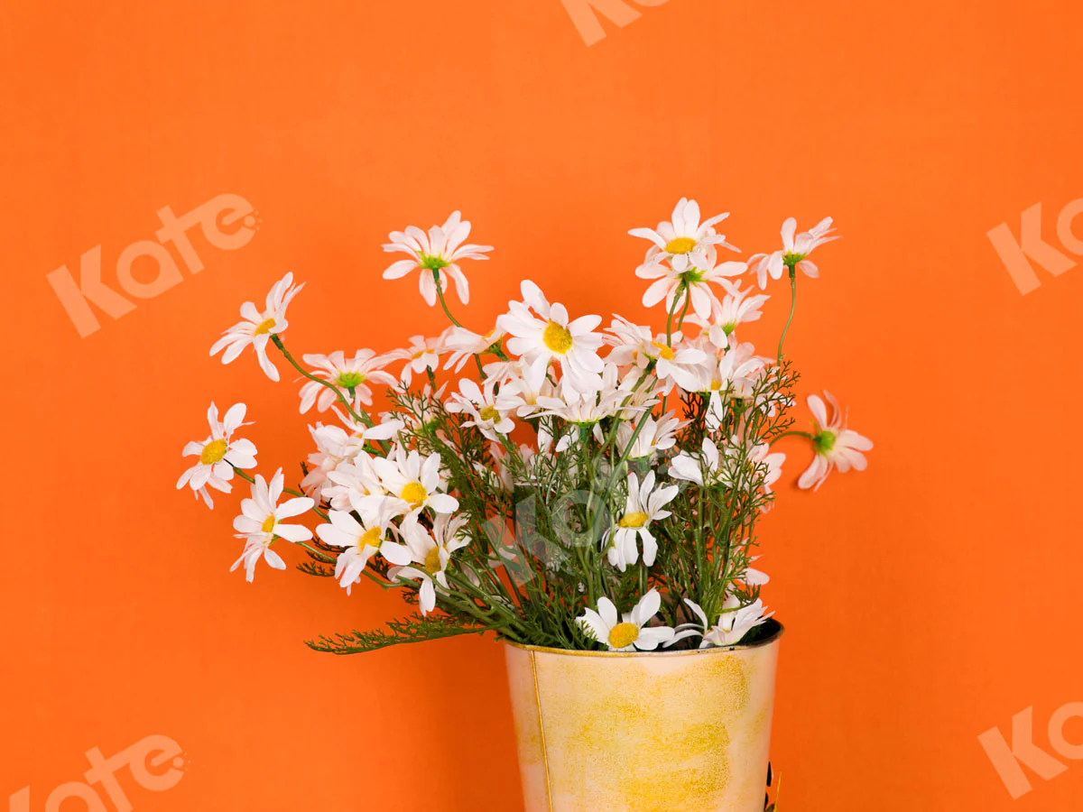 Kate Solid Orange Color Portrait Photography Backdrop for Studio(HGCSB) - Image 7