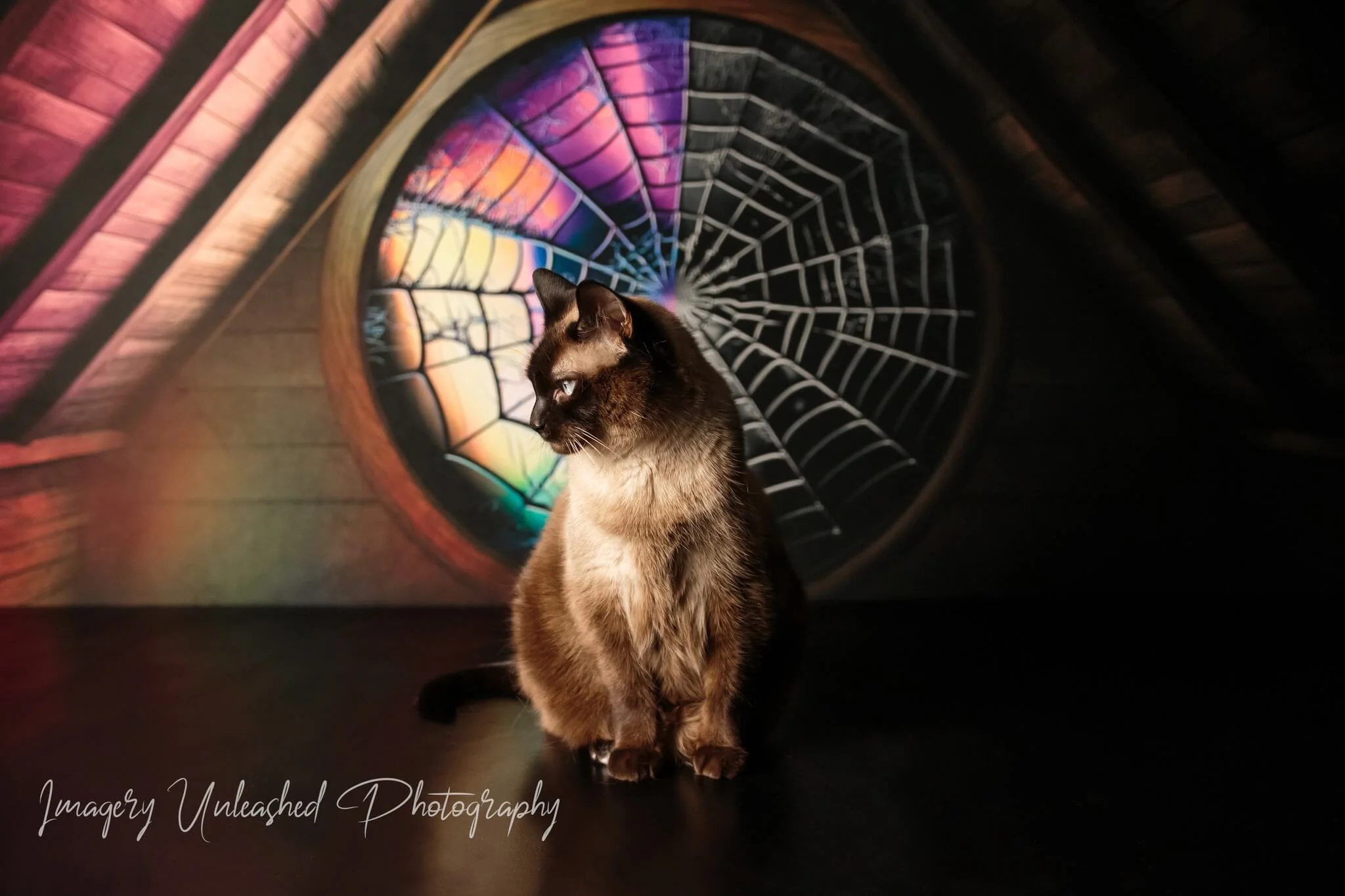Kate Spooky Attic Room Spiderweb Window Backdrop  Designed by Mini MakeBelieve - Image 4