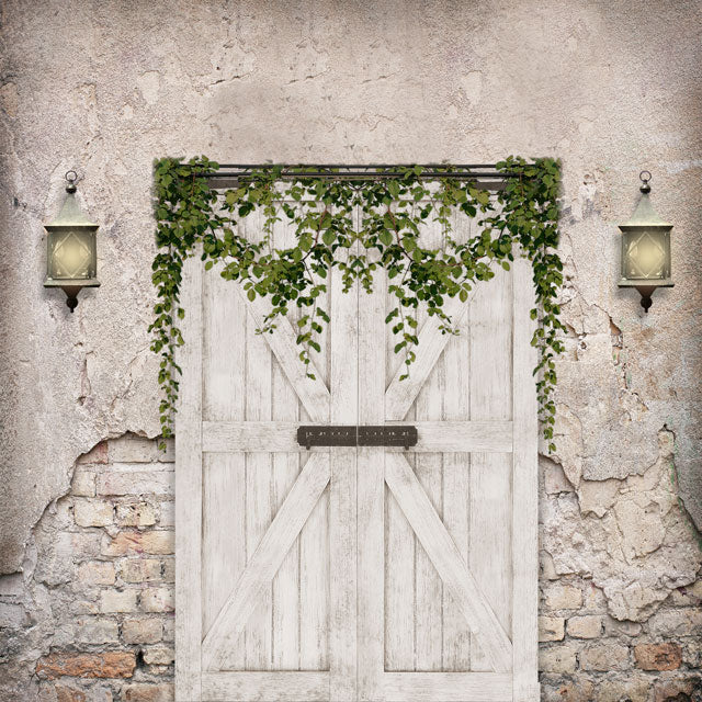 Kate Spring Backdrop Vintage wall Barn Door for Photography - Image 5
