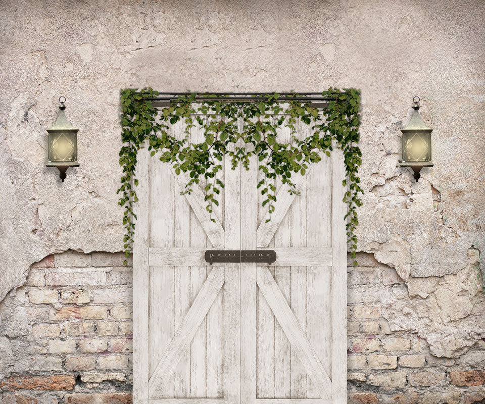 Kate Spring Backdrop Vintage wall Barn Door for Photography - Image 6