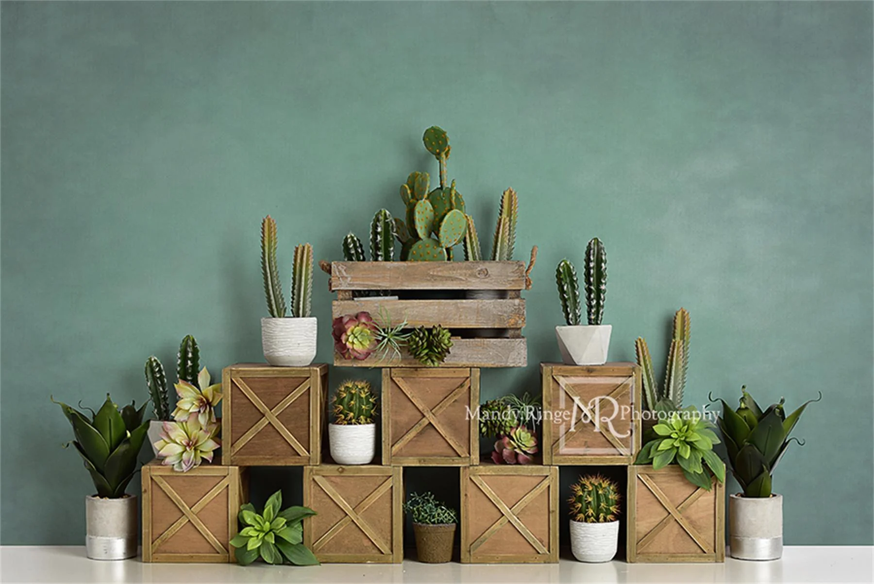 Kate Spring Cactus and Succulents with Crates Backdrop for Children Designed By Mandy Ringe Photography - Image 2