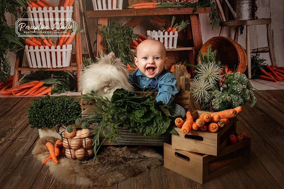 Kate Spring\Easter Carrots Children Backdrop Designed By Mandy Ringe Photography - Image 3