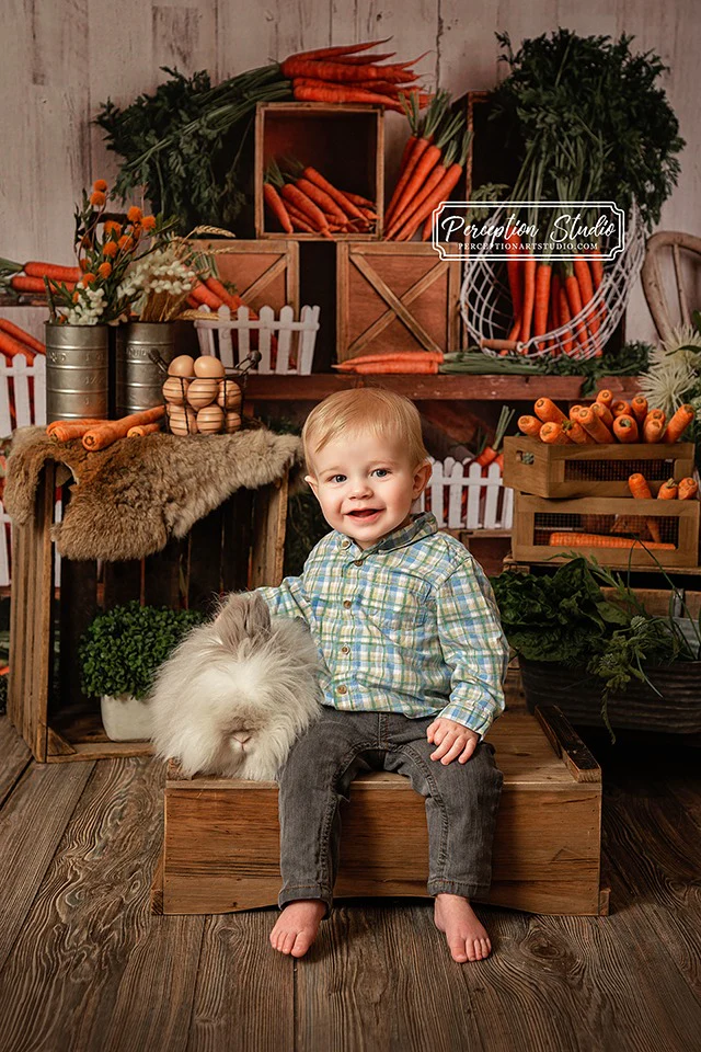 Kate Spring\Easter Carrots Children Backdrop Designed By Mandy Ringe Photography - Image 4