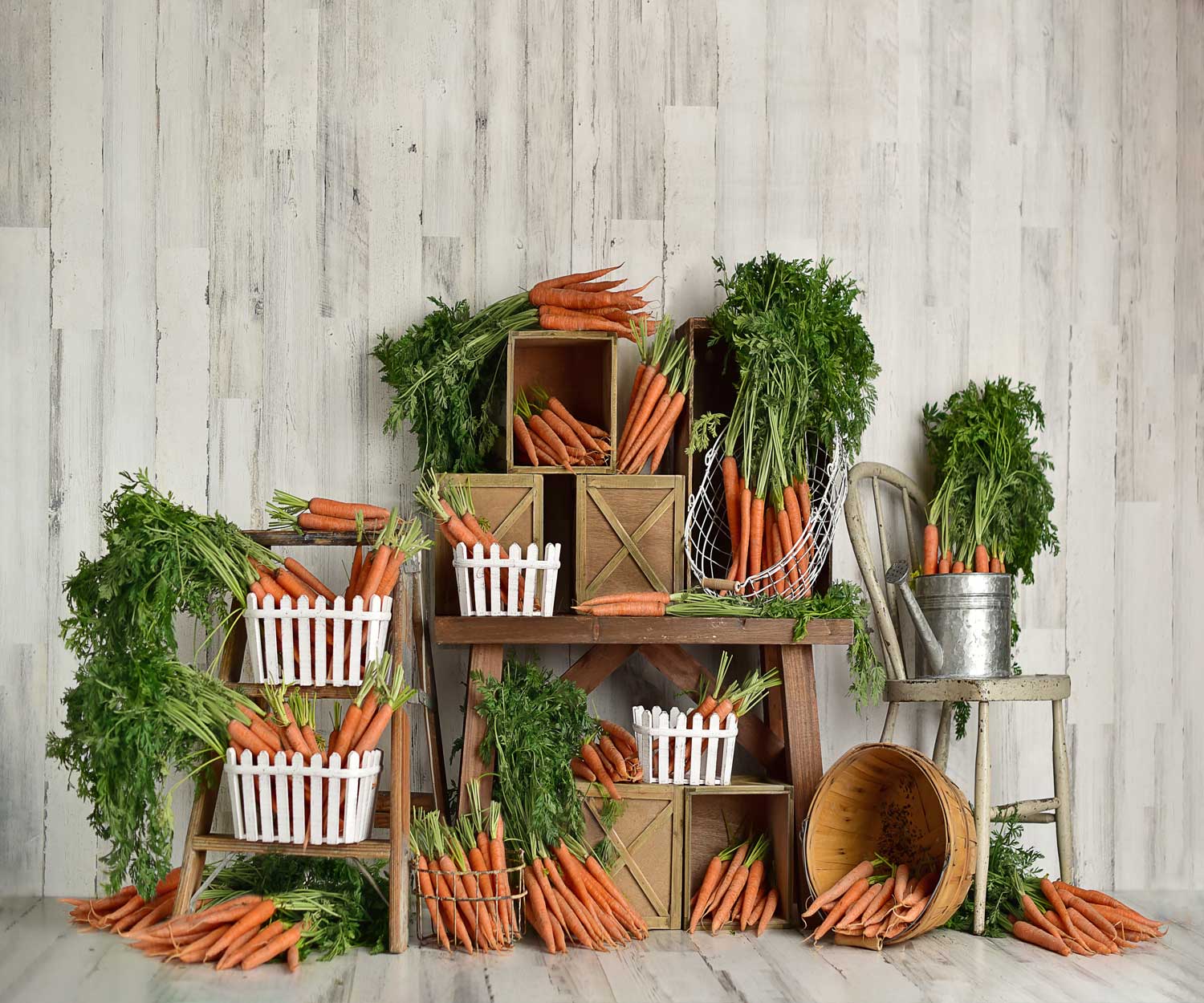 Kate Spring\Easter Carrots Children Backdrop Designed By Mandy Ringe Photography - Image 5