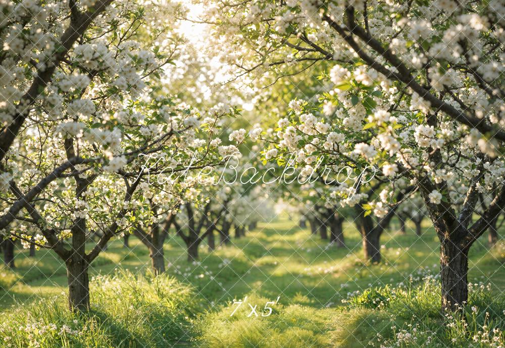 Kate Spring Flowering Orchard Path Backdrop Designed by Emetselch