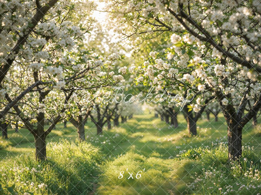 Kate Spring Flowering Orchard Path Backdrop Designed by Emetselch - Image 3