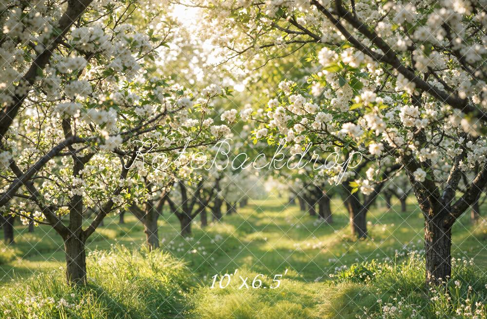 Kate Spring Flowering Orchard Path Backdrop Designed by Emetselch - Image 4