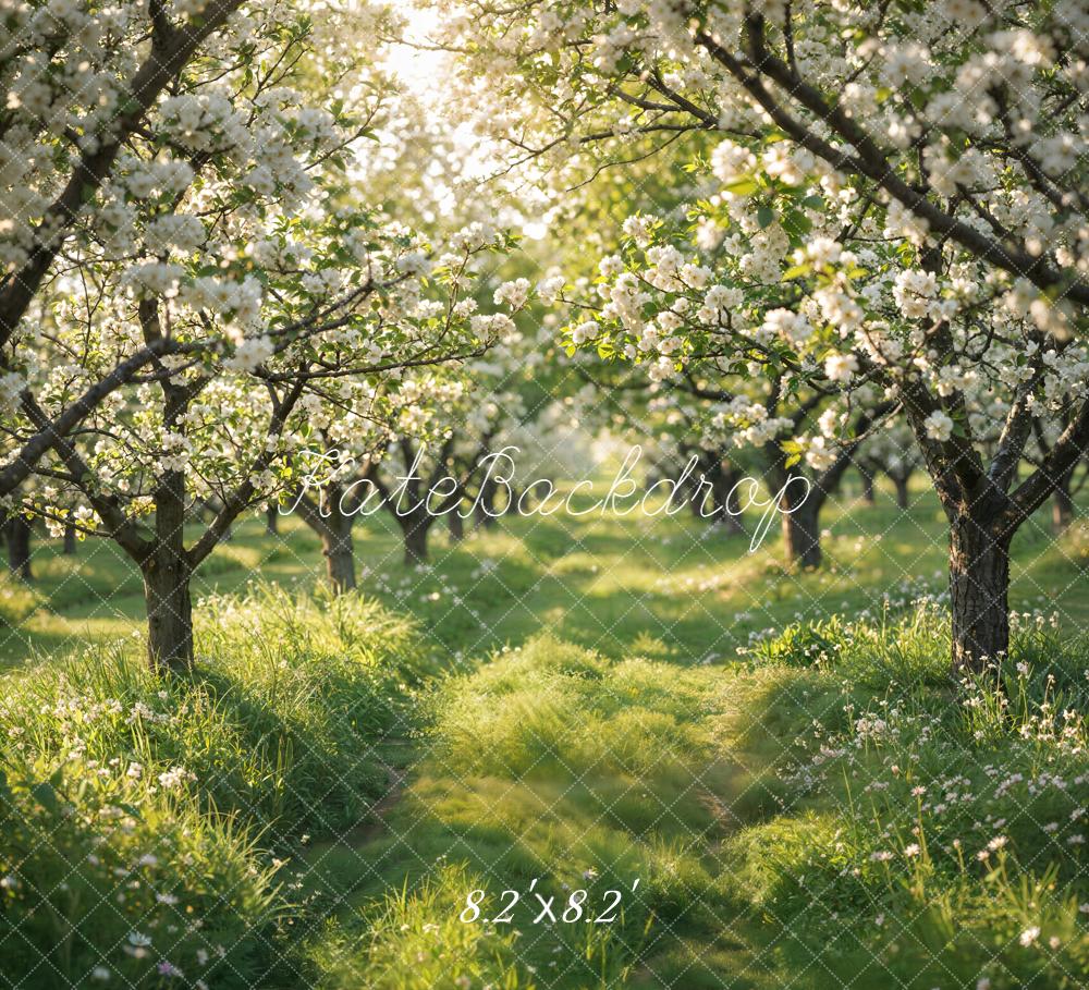 Kate Spring Flowering Orchard Path Backdrop Designed by Emetselch - Image 5