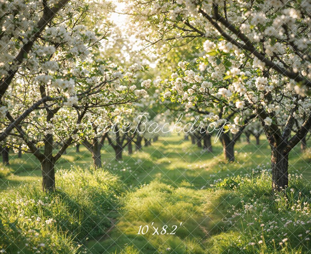 Kate Spring Flowering Orchard Path Backdrop Designed by Emetselch - Image 6