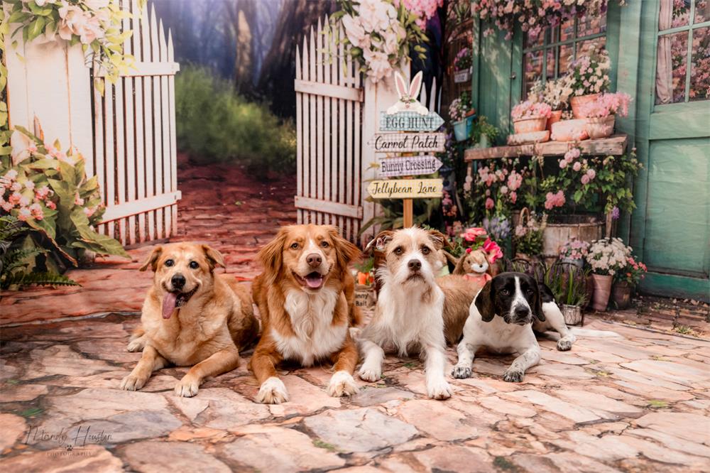 Kate Spring Flowers Fence Room Set - Image 3