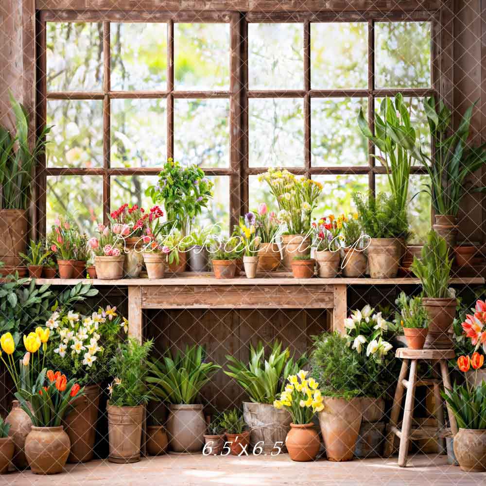 Kate Spring Green Plant Window Room Backdrop Designed by Chain Photography - Image 2
