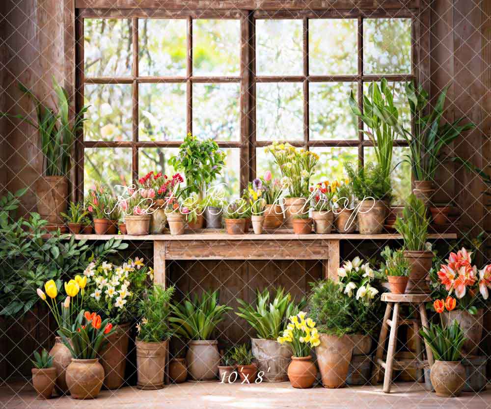 Kate Spring Green Plant Window Room Backdrop Designed by Chain Photography - Image 4