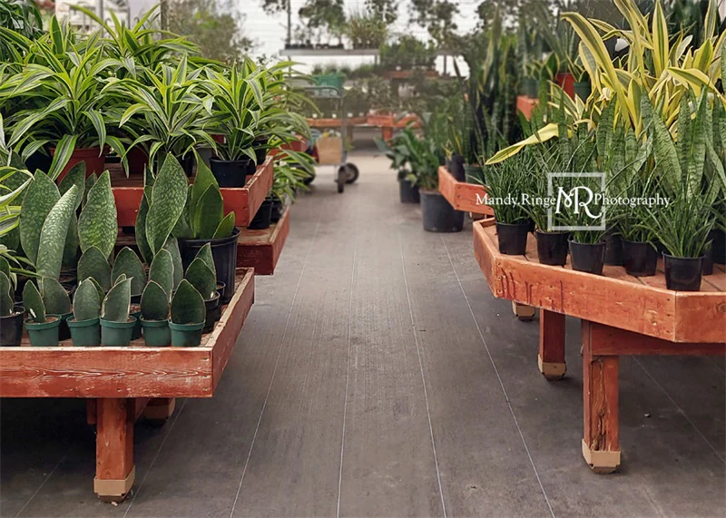 Kate Spring Greenhouse Interior Backdrop Designed by Mandy Ringe Photography - Image 2