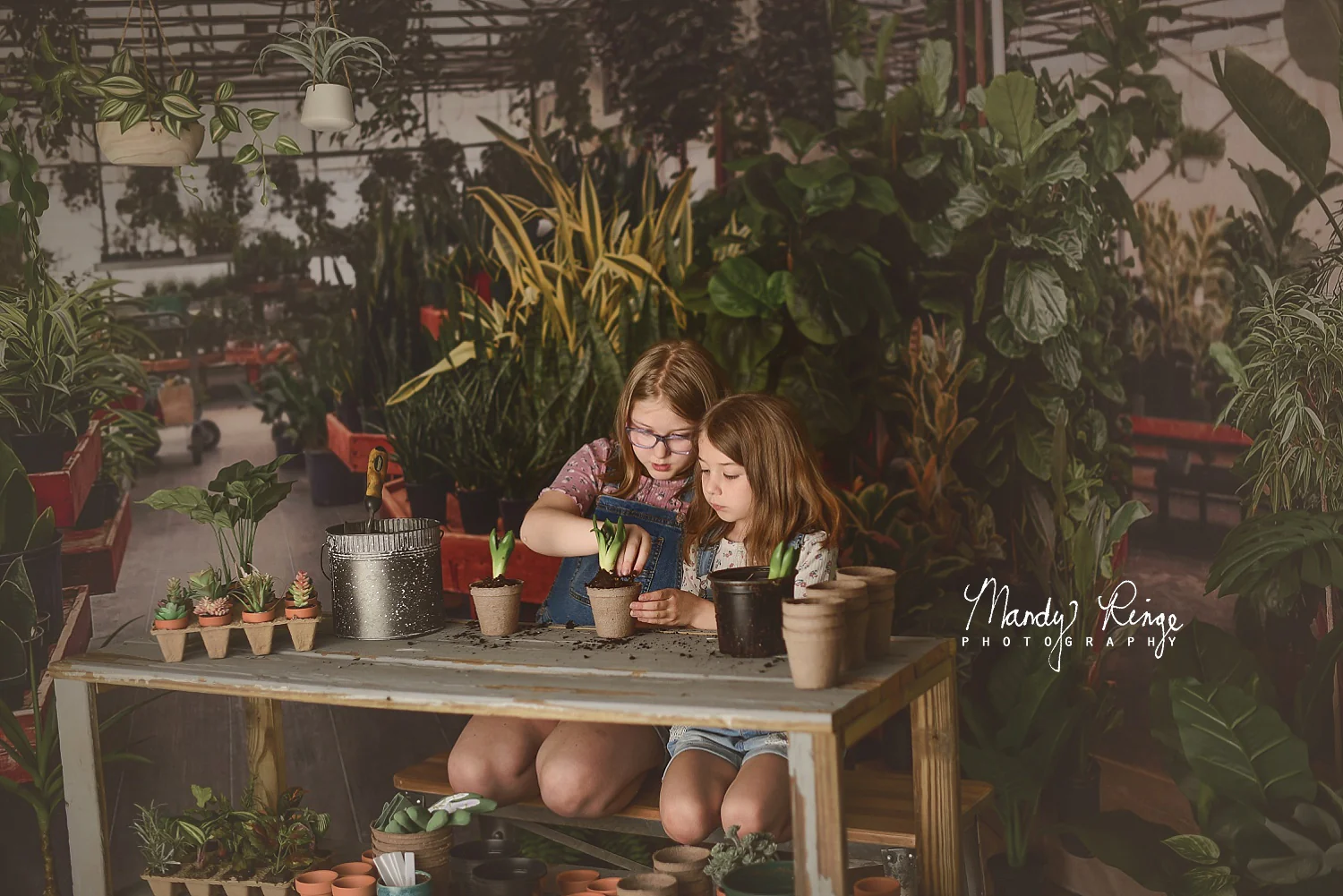 Kate Spring Greenhouse Interior Backdrop Designed by Mandy Ringe Photography - Image 3