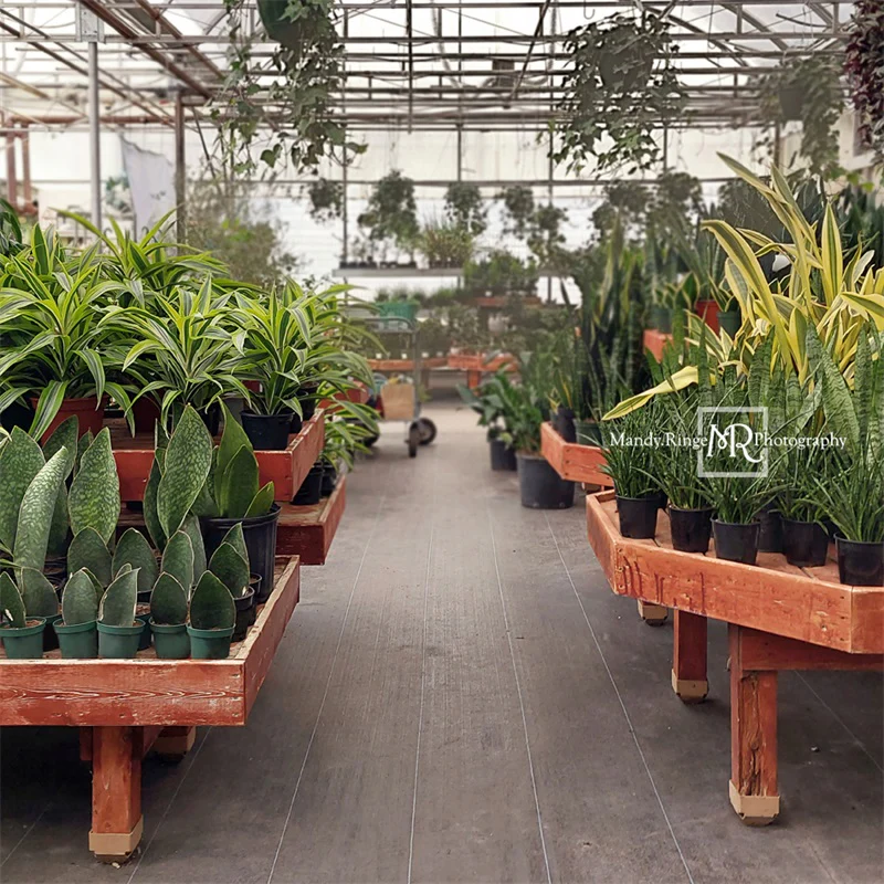Kate Spring Greenhouse Interior Backdrop Designed by Mandy Ringe Photography - Image 4