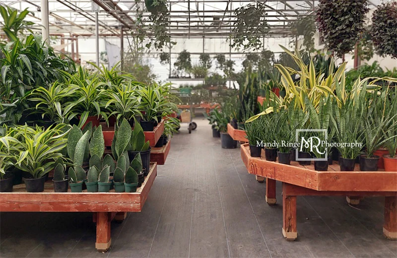 Kate Spring Greenhouse Interior Backdrop Designed by Mandy Ringe Photography - Image 5