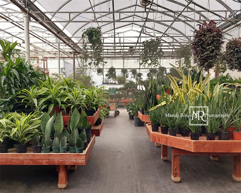 Kate Spring Greenhouse Interior Backdrop Designed by Mandy Ringe Photography - Image 6