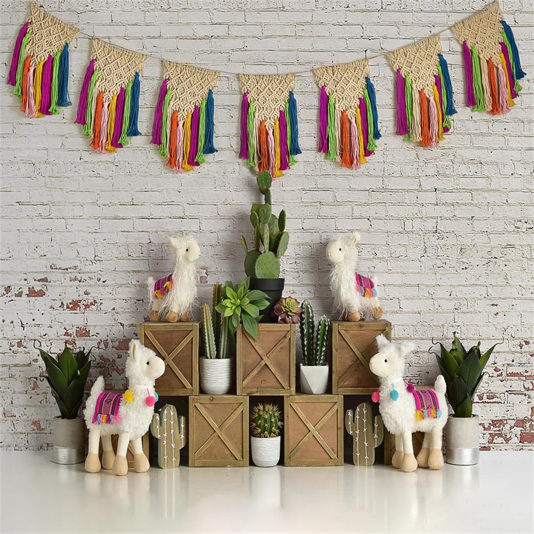 Kate Spring Llamas with Cactus and Macrame Backdrop Designed By Mandy Ringe Photography - Image 2