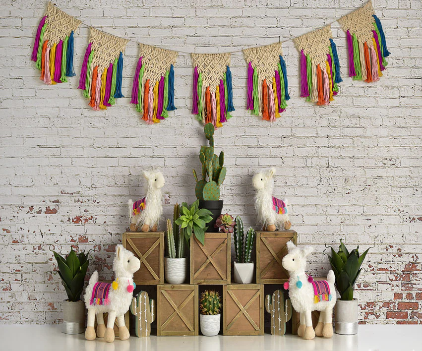 Kate Spring Llamas with Cactus and Macrame Backdrop Designed By Mandy Ringe Photography - Image 3