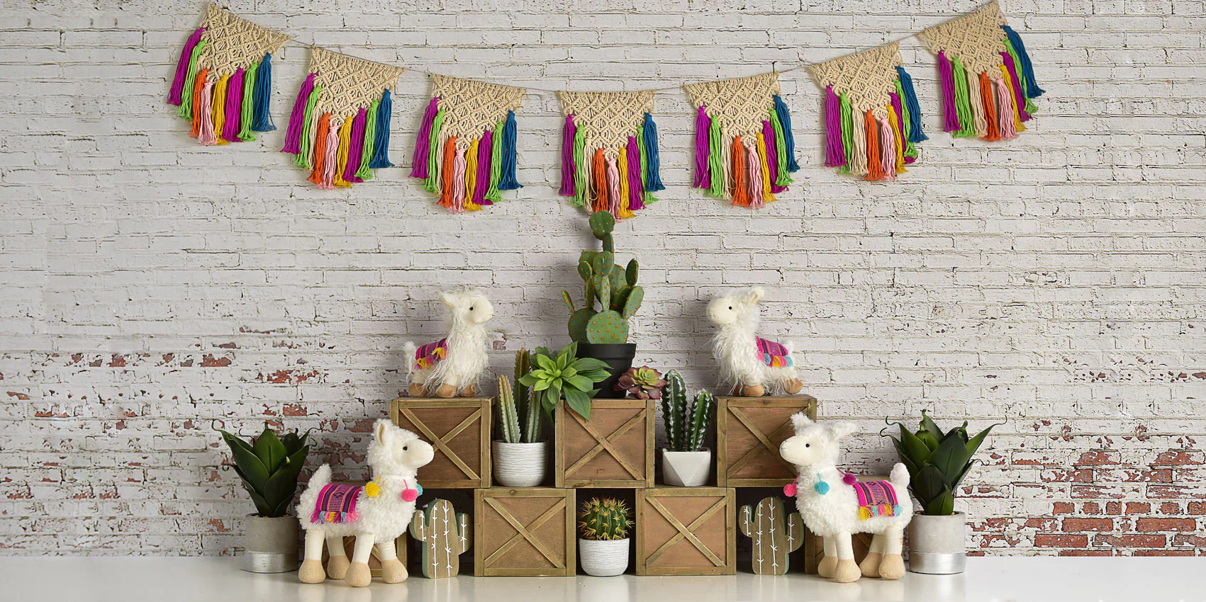 Kate Spring Llamas with Cactus and Macrame Backdrop Designed By Mandy Ringe Photography - Image 4