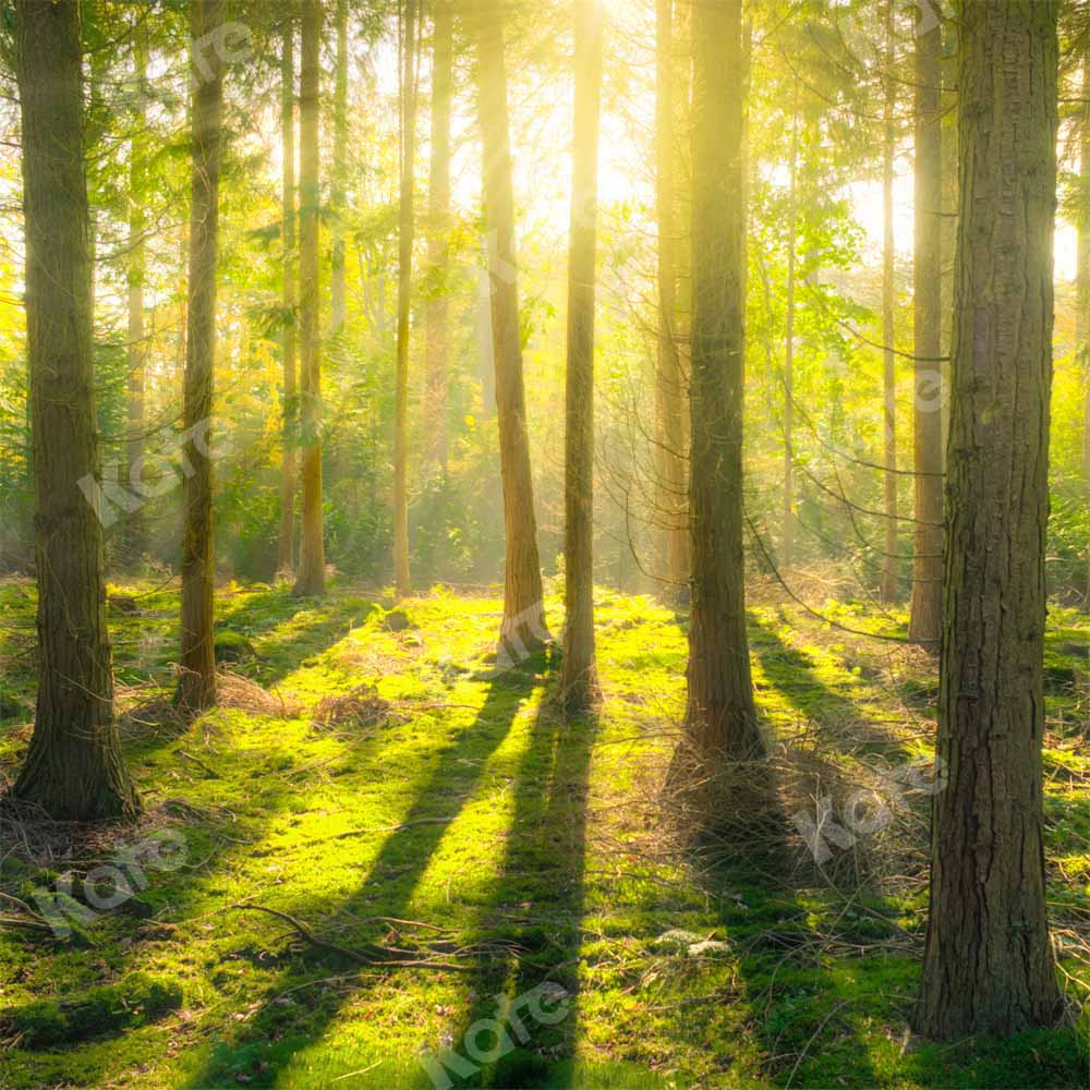 Kate Spring Natural Sunshine Forest Backdrop for photography - Image 3