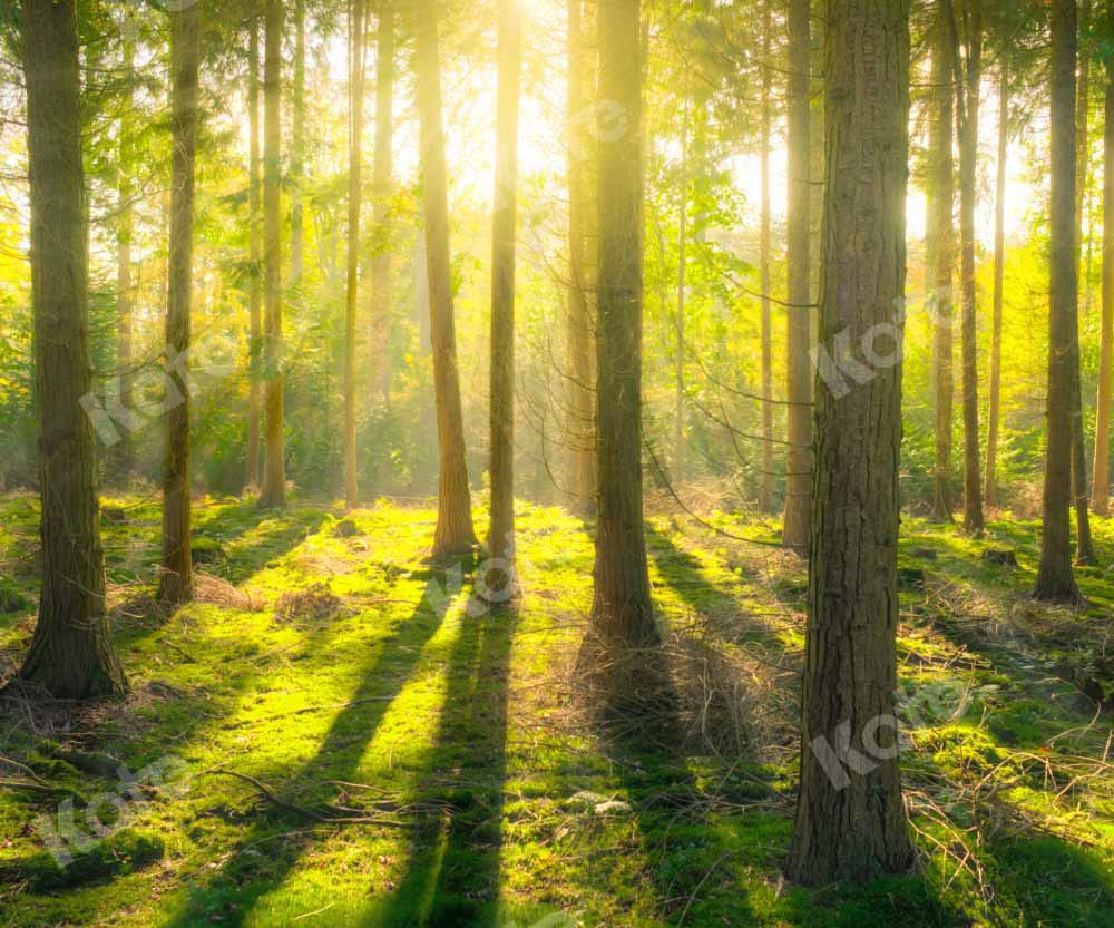 Kate Spring Natural Sunshine Forest Backdrop for photography - Image 4