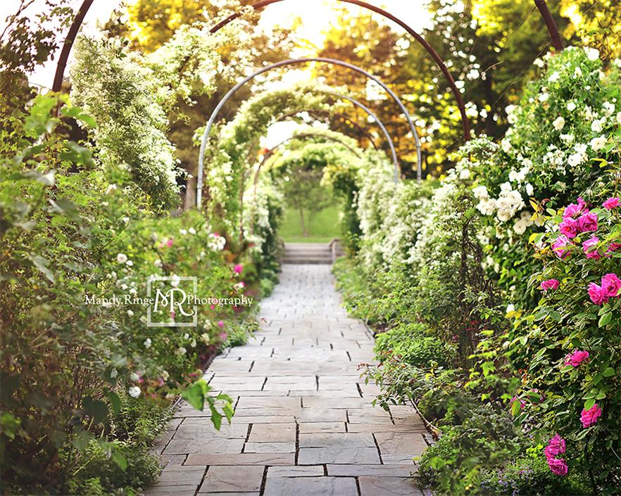 Kate Spring Secret Garden Path Backdrop Designed By Mandy Ringe Photography - Image 2