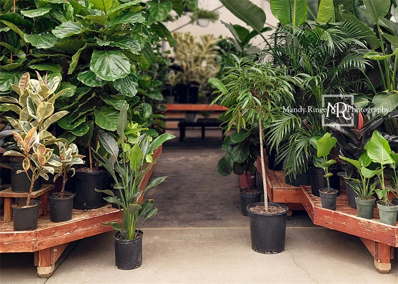 Kate Spring Tropical Greenhouse Interior Backdrop Designed by Mandy Ringe Photography - Image 2