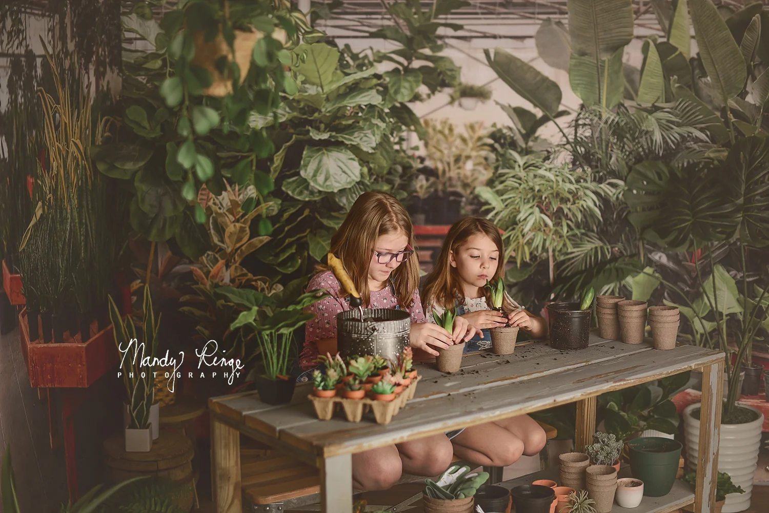 Kate Spring Tropical Greenhouse Interior Backdrop Designed by Mandy Ringe Photography - Image 3