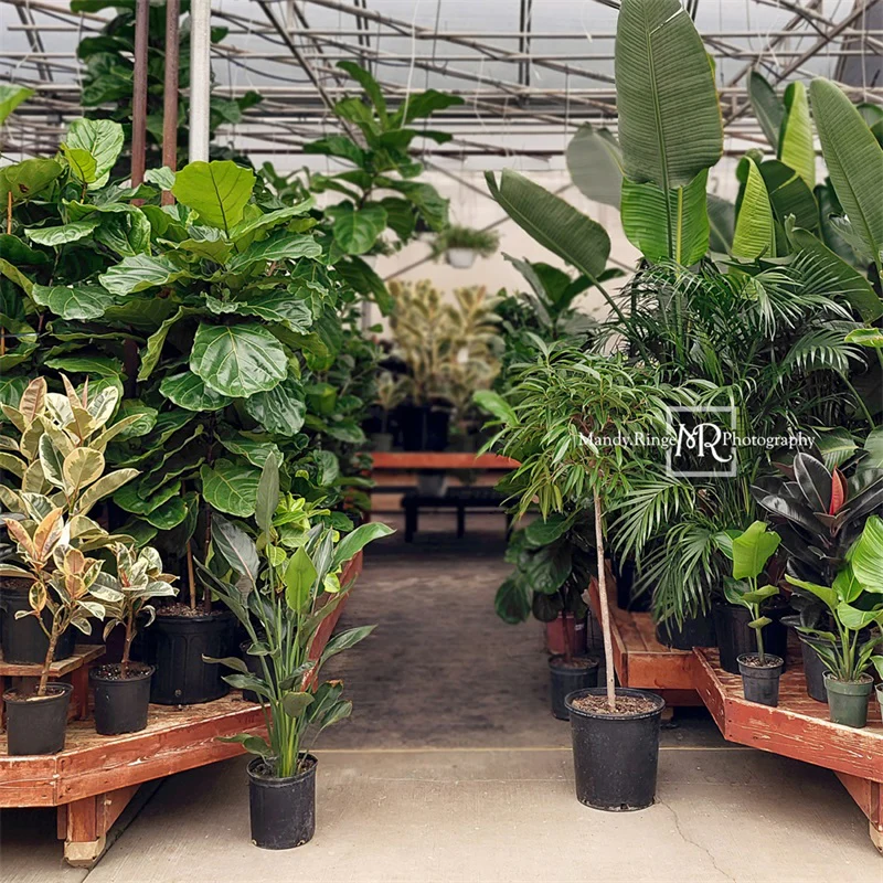 Kate Spring Tropical Greenhouse Interior Backdrop Designed by Mandy Ringe Photography - Image 5