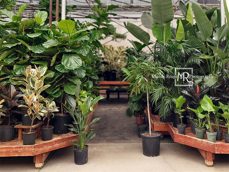 Kate Spring Tropical Greenhouse Interior Backdrop Designed by Mandy Ringe Photography - Image 6