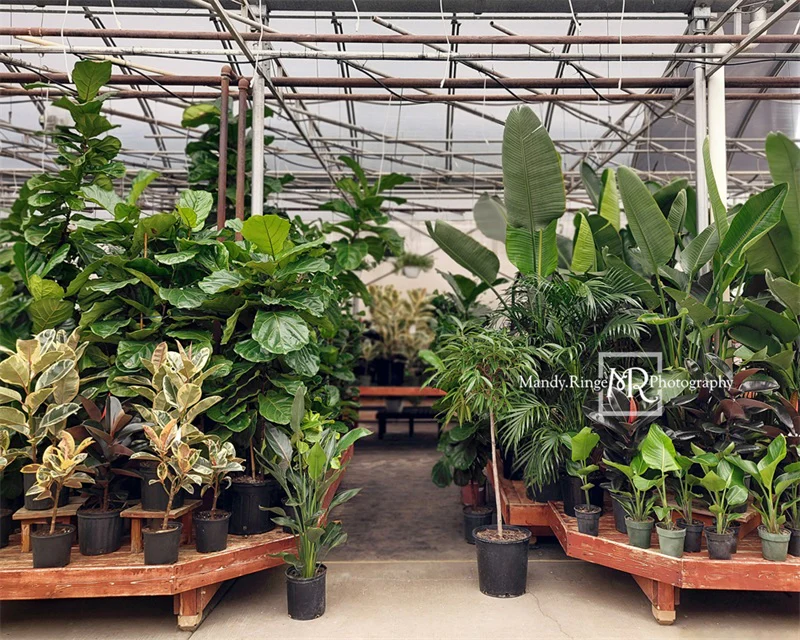Kate Spring Tropical Greenhouse Interior Backdrop Designed by Mandy Ringe Photography - Image 8