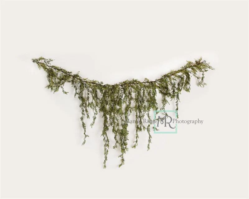 Kate Spring Vine White Wall Backdrop Designed by Mandy Ringe Photography - Image 6
