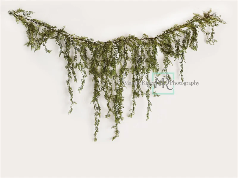 Kate Spring Vine White Wall Backdrop Designed by Mandy Ringe Photography - Image 7