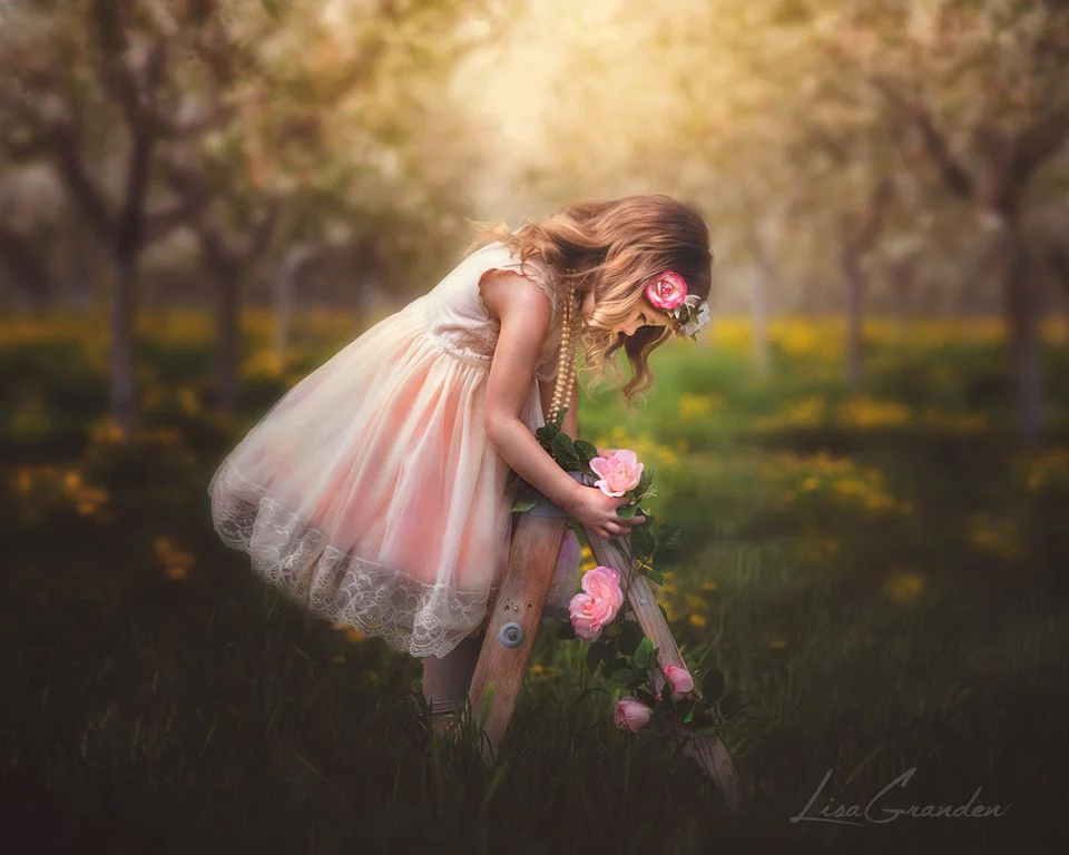Kate Springtime Orchard in Yellow Backdrop for Photography Designed by Lisa Granden - Image 4