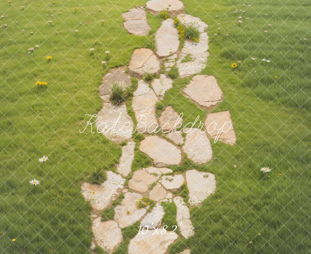 Kate Stone Path Meadow Floor Fleece Backdrop Designed by Emetselch - Image 3