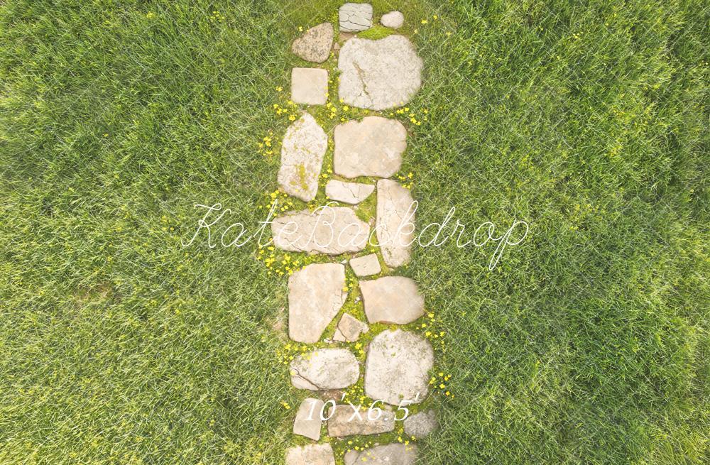 Kate Stone Pathway Aerial Grass Fleece Backdrop Designed by Kate image - Image 2