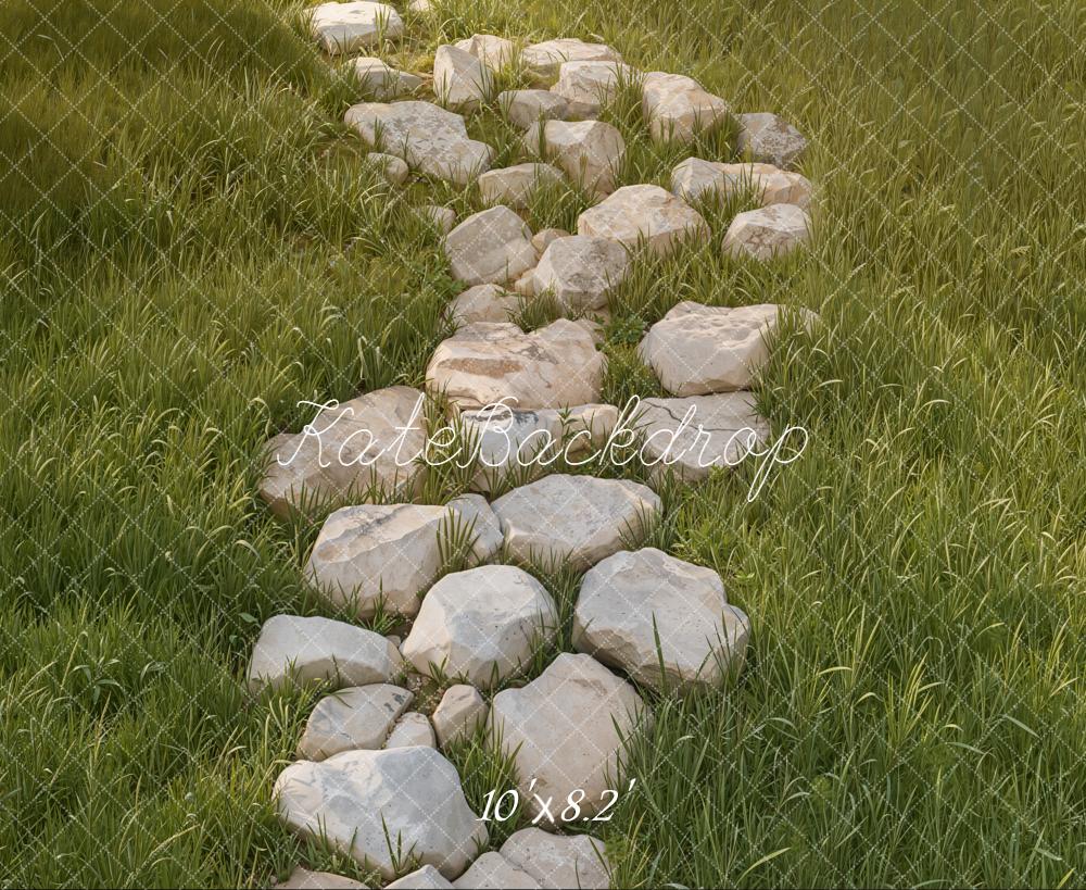 Kate Stone Pathway Grass Field Floor Backdrop Designed by Kate Image - Image 6