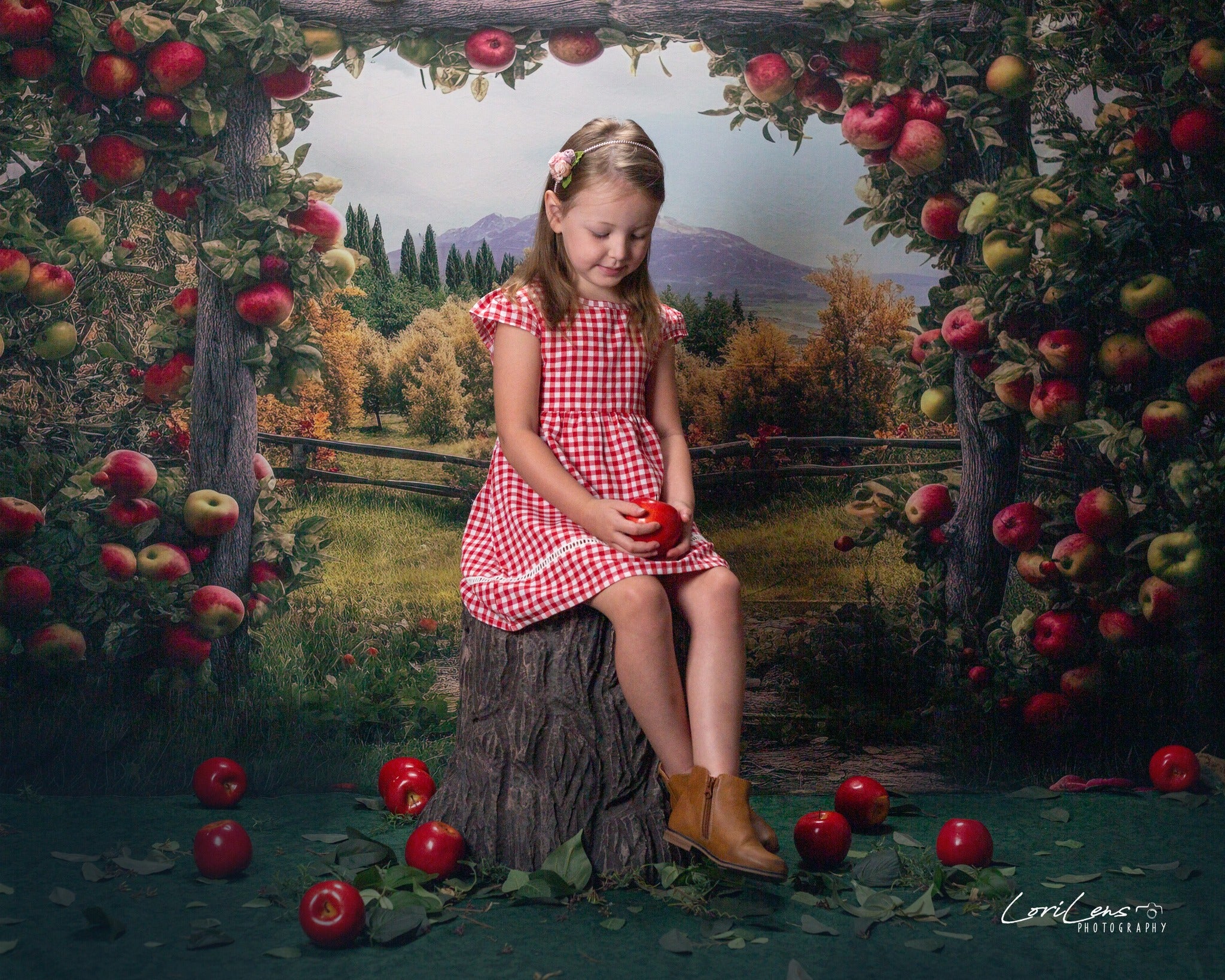 Kate Summer/Autumn Apple Arch Farm Backdrop Designed by Angela Marie Photography - Image 5
