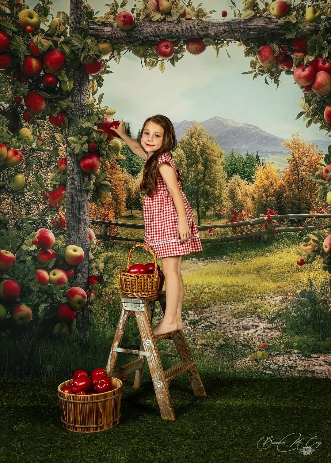 Kate Summer/Autumn Apple Arch Farm Backdrop Designed by Angela Marie Photography - Image 6
