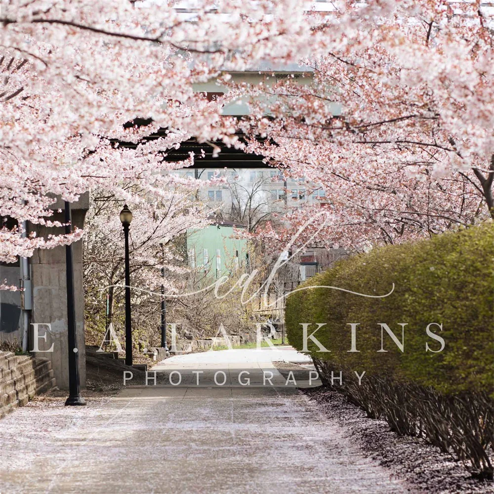 Kate Summer Cherry Blossom Archway Backdrop Designed by Erin Larkins - Image 2