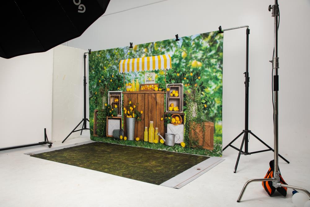 Kate Summer Lemon Trees Backdrop Designed by Emetselch - Image 4