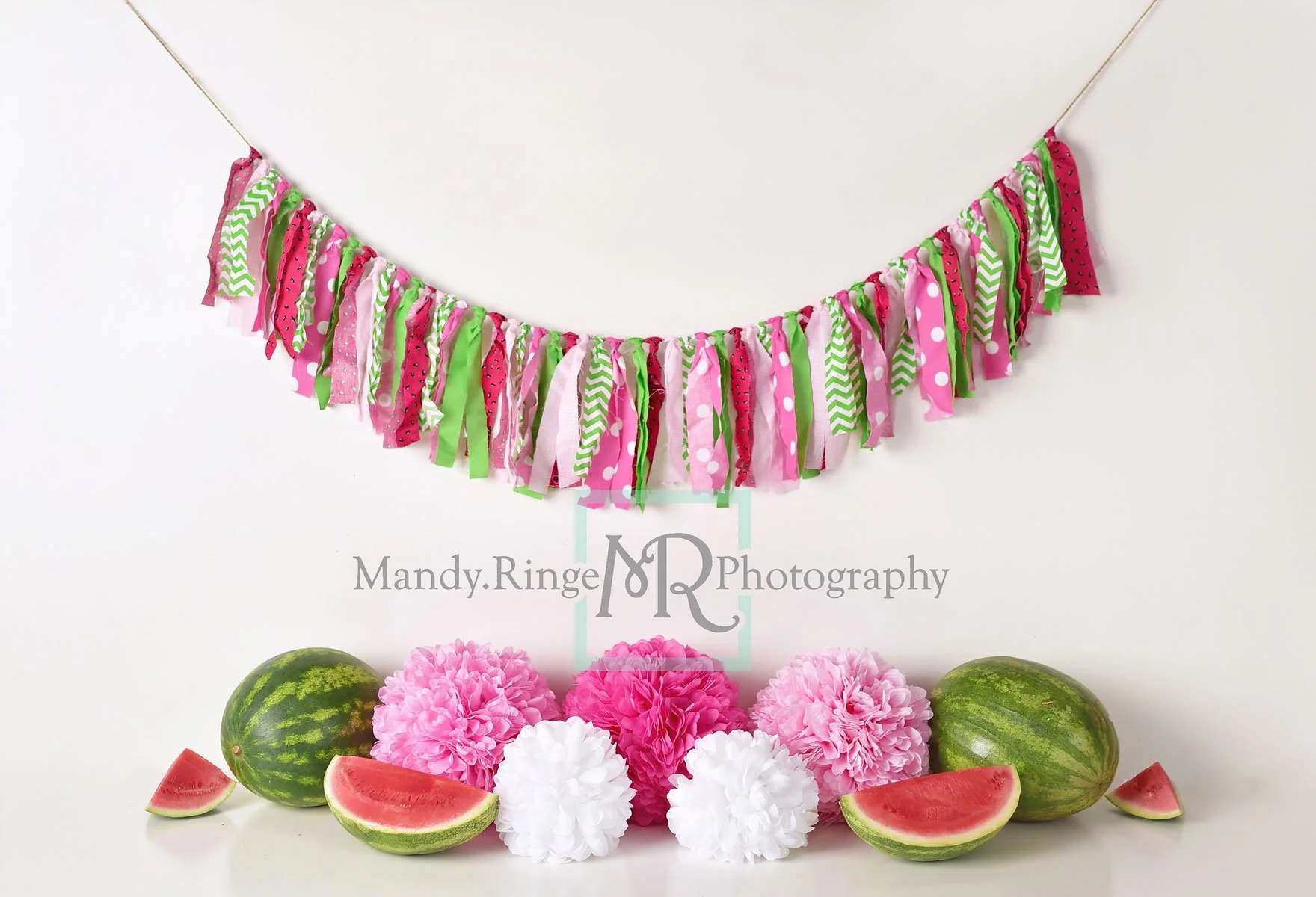 Kate Summer Watermelon Birthday Backdrop Designed by Mandy Ringe Photography - Image 2