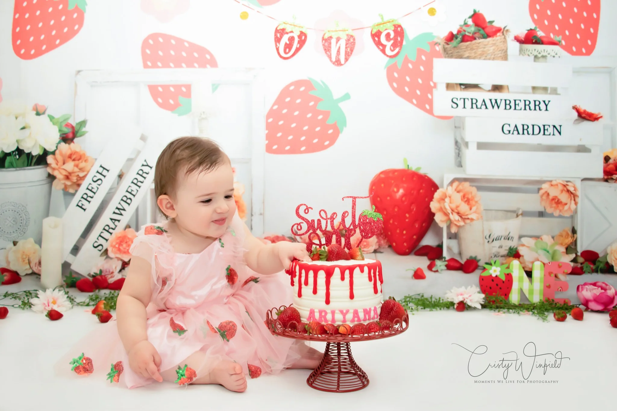 Kate Summer Strawberry Pink Backdrop Designed by Emetselch - Image 3